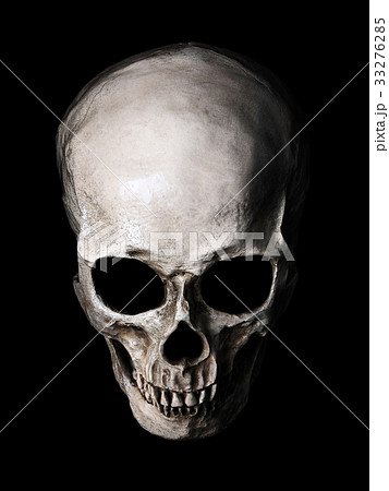 Skull Stock Illustration