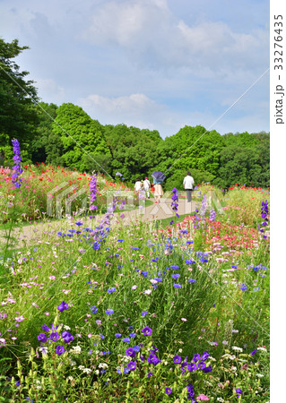 全国都市緑化よこはまフェア・里山ガーデン会場 33276435