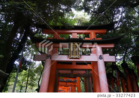 京都　伏見稲荷大社 33277423