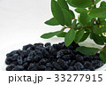 ハスカップの実と葉っぱ 33277915