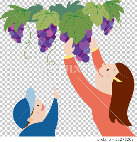 Parent and child hunting grapes 33278202