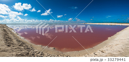 Salt pink lagoon in Las Coloradas, Yucatan, Mexico 33279441