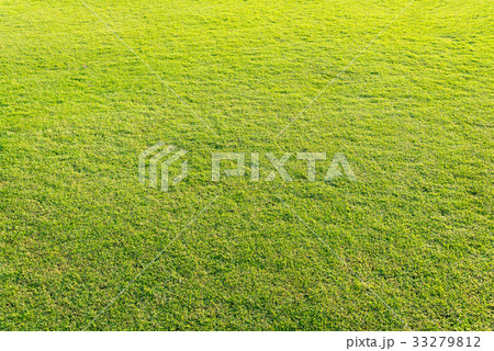 playground Green lawni n natural background. 33279812