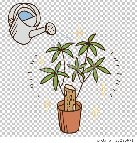 植木に水やり 33280671
