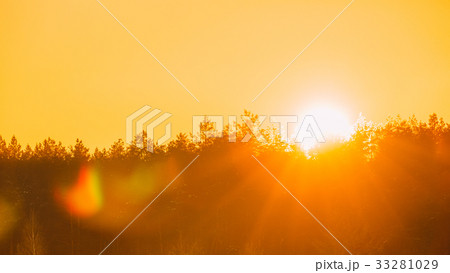 Sun Over Horizon Woods Or Forest With Orange 33281029