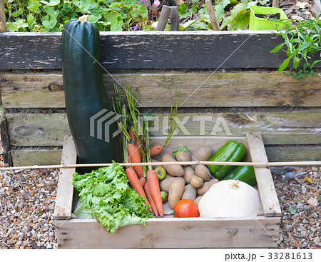 Fresh vegetables in a box. 33281613