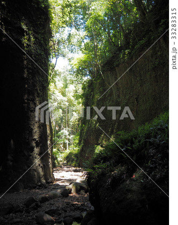 伊尾木洞を抜けた渓谷 33283315