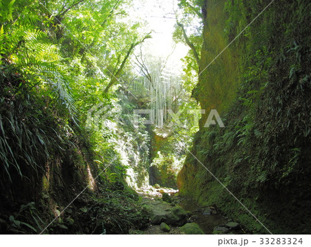 伊尾木洞を抜けた渓谷 33283324