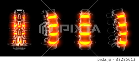 3d rendering of spine structure 33285613