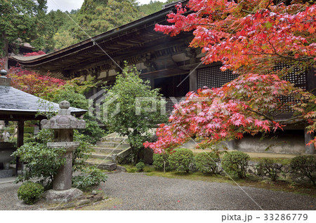 国宝　金剛輪寺本堂　紅葉　湖東三山 33286779
