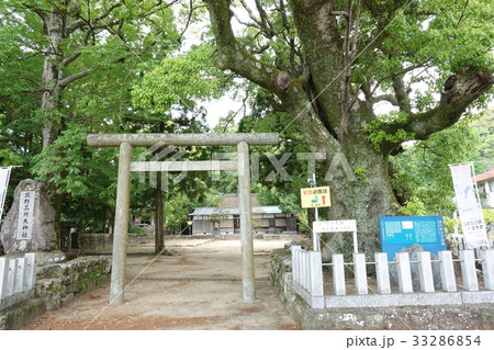 熊野三所大神社 熊野三所大神社 33286854