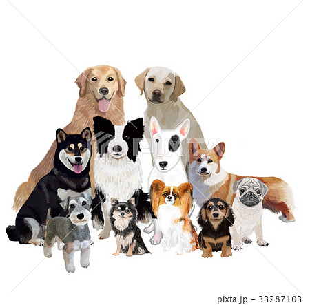 犬　いろいろ　 33287103