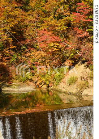 堰堤の白い流れと水面に映り込む紅葉 堰堤の白い流れと水面に映り込む紅葉 33288631