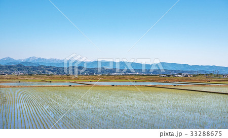 白山連峰と田園風景 白山連峰と田園風景 33288675