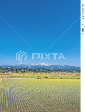 白山連峰と田園風景 白山連峰と田園風景 33288676