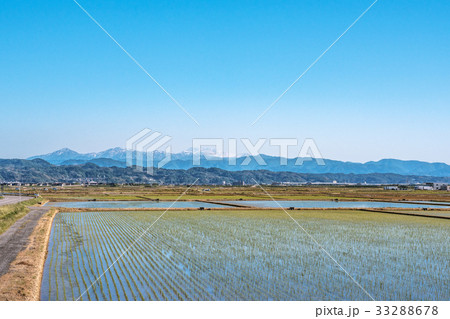 白山連峰と田園風景 33288678
