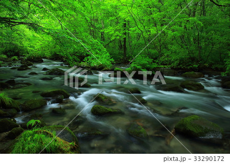 夏の奥入瀬渓流 夏の奥入瀬渓流 33290172