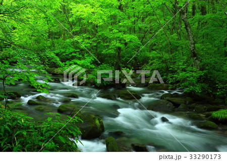 夏の奥入瀬渓流 33290173