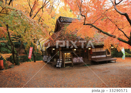 Tea House at fall season Nana, japan Tea House at fall season Nana, japan 33290571