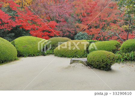 fall season of  Shisen-do garden 33290610