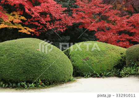 Shisen-do garden Shisen-do garden 33291011