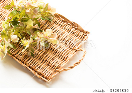 籐トレイとクリスマスローズ 33292356