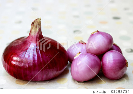 赤玉ねぎ 紫玉ねぎの写真素材