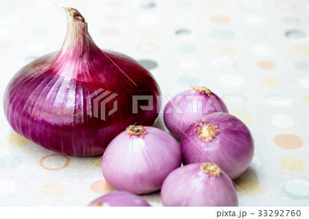 赤玉ねぎ＝紫玉ねぎ 33292760