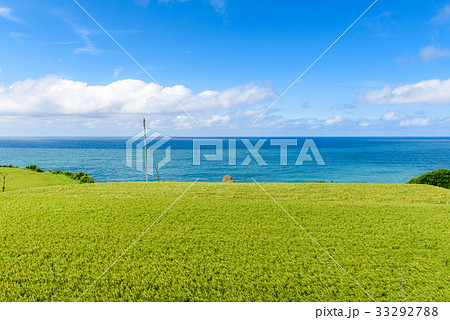 夏の日本海 33292788