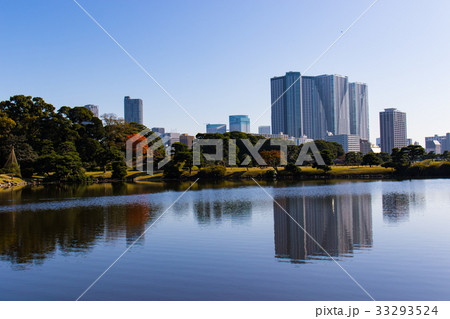 東京の四季、旧芝離宮恩賜庭園の秋 東京の四季、旧芝離宮恩賜庭園の秋 33293524