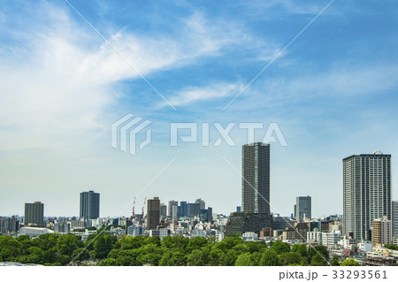 豊島区役所庁舎ビルと周辺の街並みと新緑 豊島区役所庁舎ビルと周辺の街並みと新緑 33293561