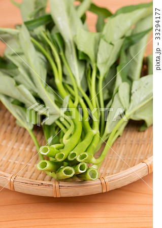 空心菜 空心菜 33294177