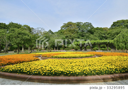 里見公園 国府台 千葉 里見公園 国府台 千葉 33295895