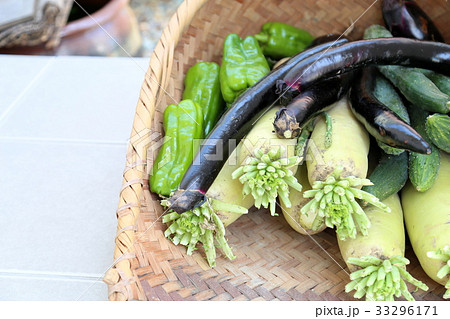 収穫した野菜 収穫した野菜 33296171