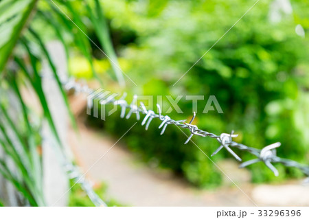 Barbed Wire 33296396