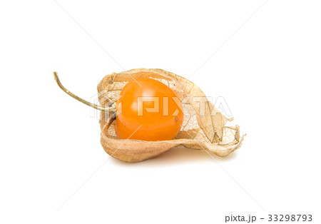 Physalis isolated 33298793