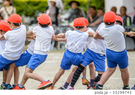 運動会 綱引き風景の写真素材