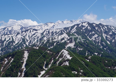 白鳥山より栂海新道を望む 33300273