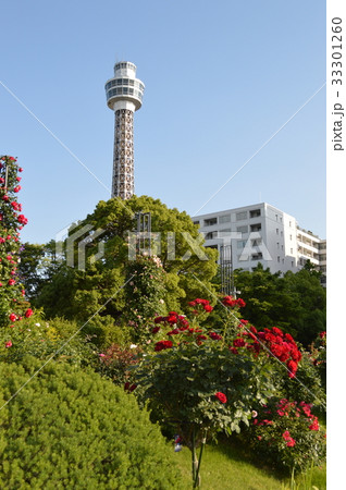 横浜のシンボル、マリンタワー 33301260