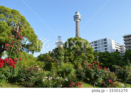 横浜、山下公園とマリンタワー 33301270
