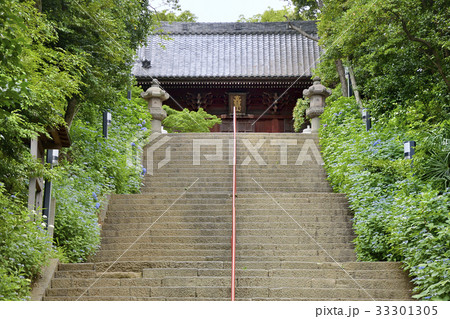 真間山弘法寺 仁王門 市川 千葉 真間山弘法寺 仁王門 市川 千葉 33301305
