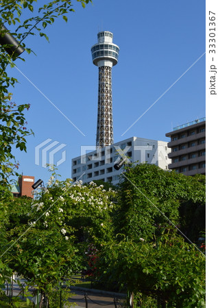 横浜、山下公園とマリンタワー 33301367