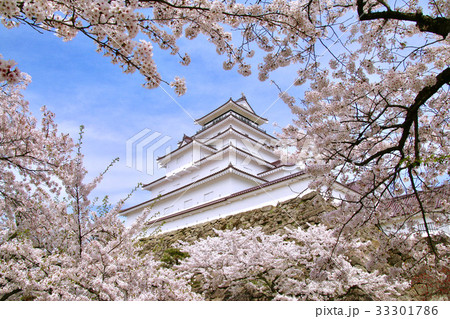 春の鶴ヶ城（会津若松市） 33301786
