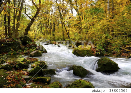 奥入瀬の秋 33302565