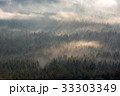初秋の原生林と雲海4 33303349
