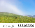 早朝の牧場 33303350