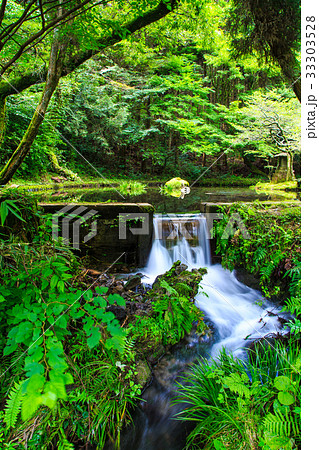新緑の山吹水源　熊本県　阿蘇郡　産山村 33303528