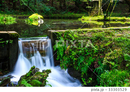 新緑の山吹水源　熊本県　阿蘇郡　産山村 33303529