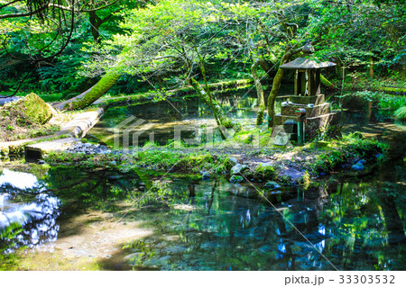 新緑の山吹水源　熊本県　阿蘇郡　産山村 33303532