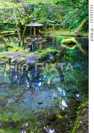 新緑の山吹水源　熊本県　阿蘇郡　産山村 33303533